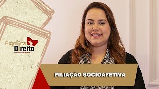 Explica Direito Filiação Socioafetiva  2019 [upl. by Einimod641]