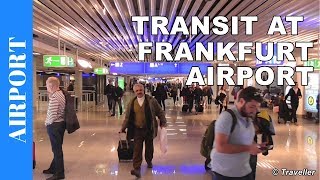 TRANSIT WALK AT FRANKFURT Airport FRA Terminal 1  Connection Flight Transfer Arriving amp Departing [upl. by Osei]